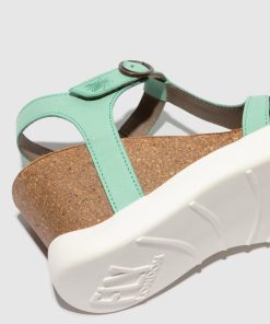 Peakoutfitters.shop5818ade6ad 4