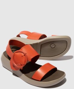 Peakoutfitters.shop75a7845caf 4