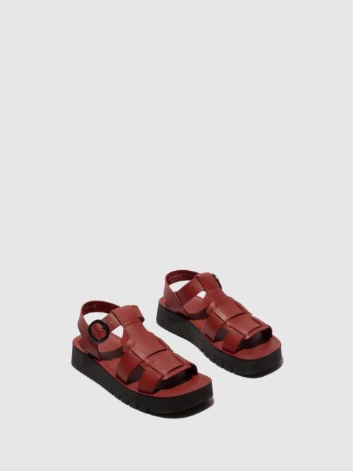 Peakoutfitters.shop971450ceed 2