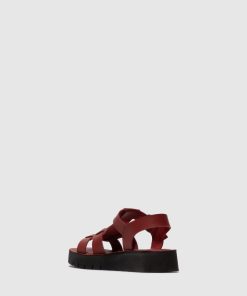 Peakoutfitters.shop971450ceed 3