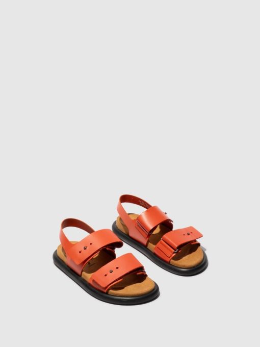 Peakoutfitters.shopc9999786c4 2
